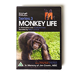 MONKEY LIFE SERIES 3